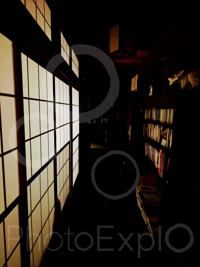 Toile de pin ou un  (e-photo)